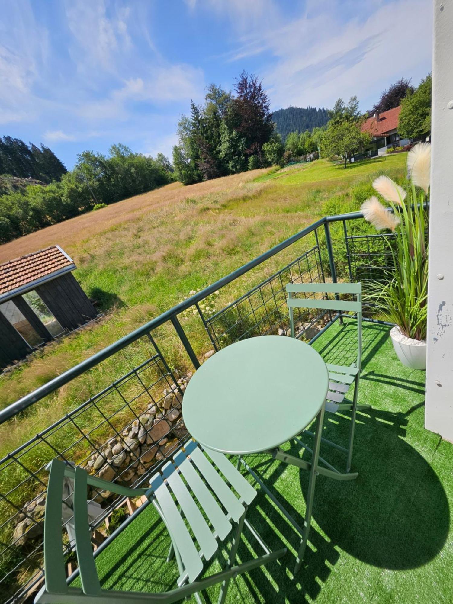 L'Aubepine Au Bord Du Lac Vue Directe Sur Le Lac ,Borne E A 20M Gerardmer Exterior photo